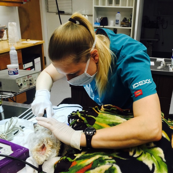 Meet your Posher! - Picture 12 of 12